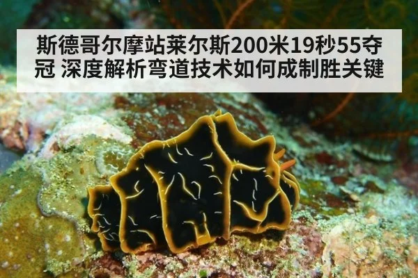 斯德哥尔摩站莱尔斯200米19秒55夺冠 深度解析弯道技术如何成制胜关键