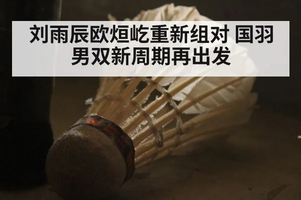 刘雨辰欧烜屹重新组对 国羽男双新周期再出发